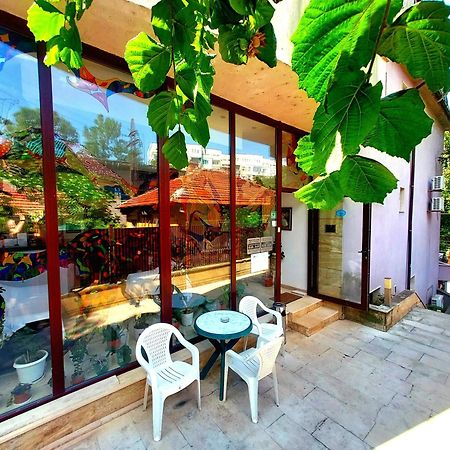 פלבן Family Art Hotel Gallery מראה חיצוני תמונה